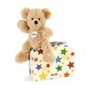Steiff Teddybär Fynn im Koffer 23 cm